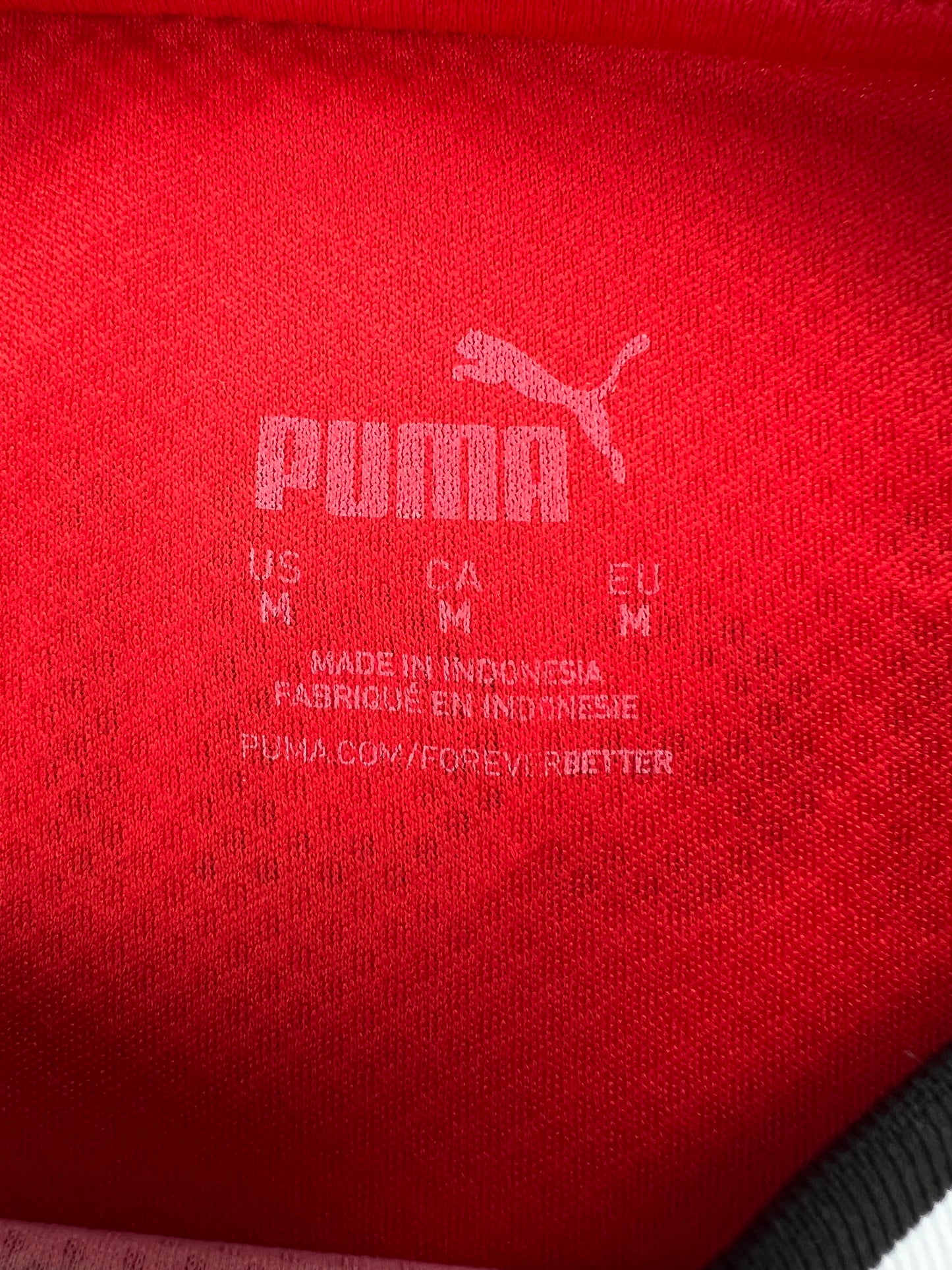 PSV Eindhoven 2020-21 "Götze" Heim Trikot M puma