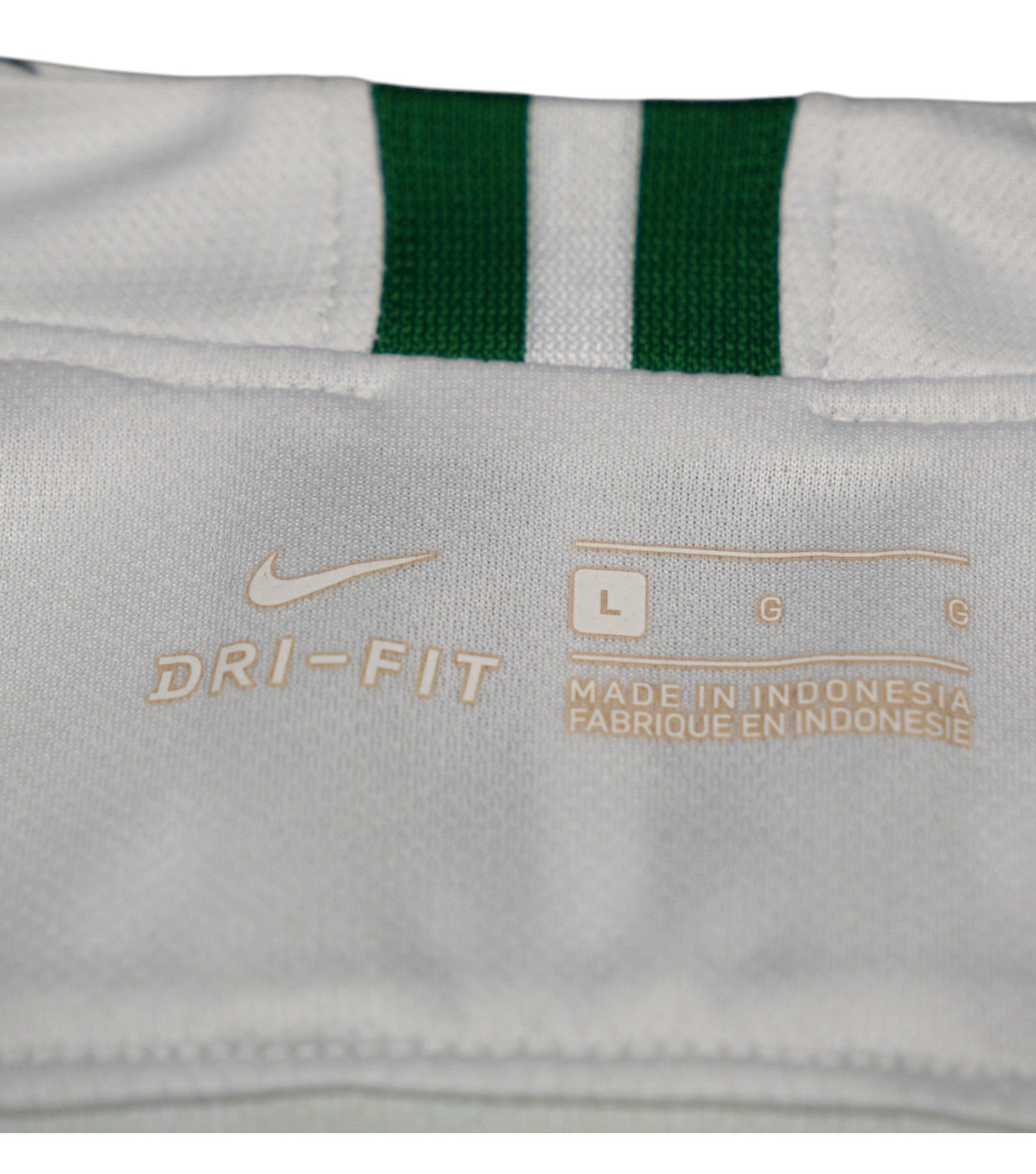 Nigeria 2018 Heim Trikot (L) nike