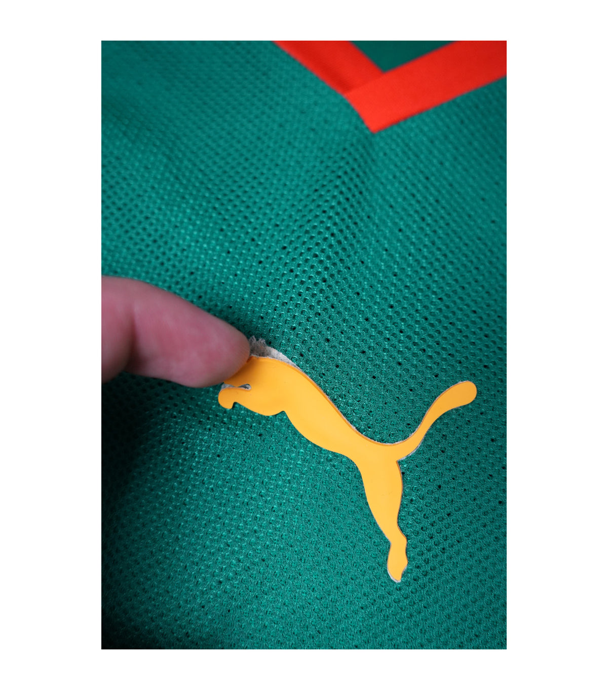 Kamerun 2008-09 Heim Trikot (L) puma