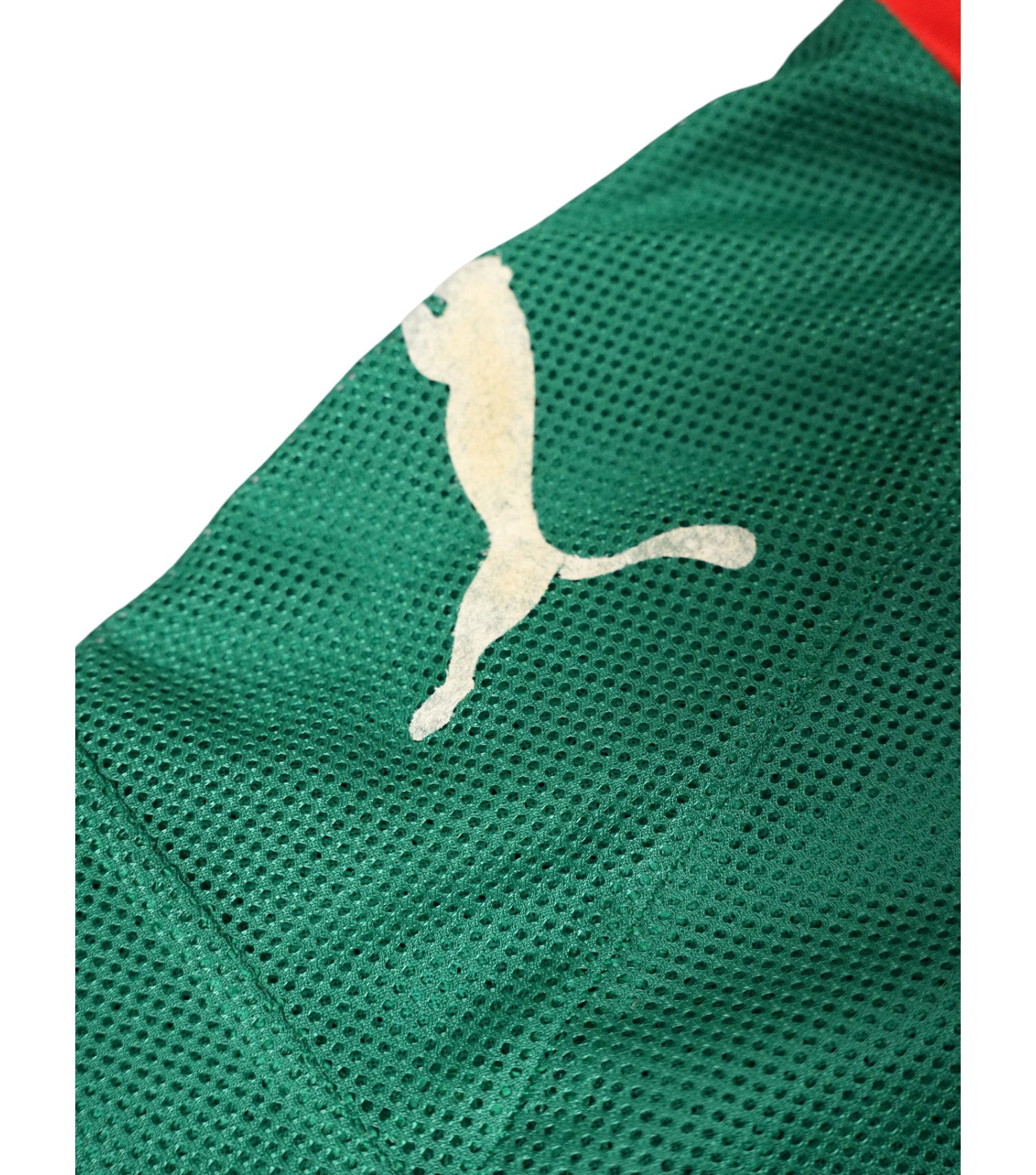 Kamerun 2008-09 Heim Trikot (L) puma