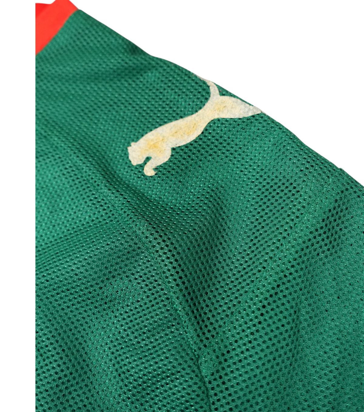 Kamerun 2008-09 Heim Trikot (L) puma