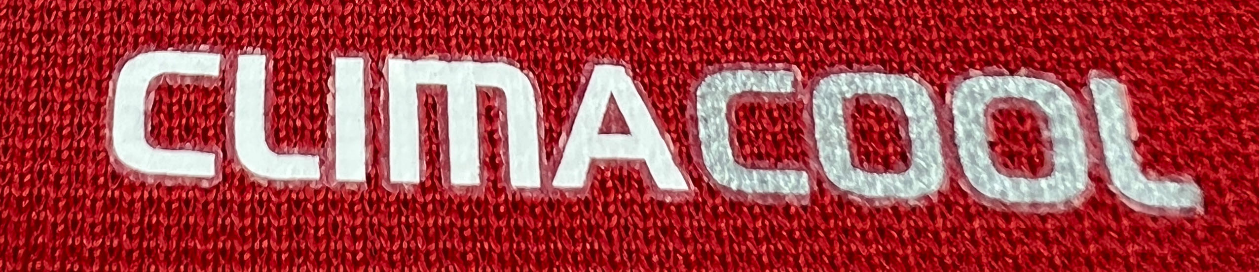 Hamburger SV 2010-11 Heim Trikot M adidas