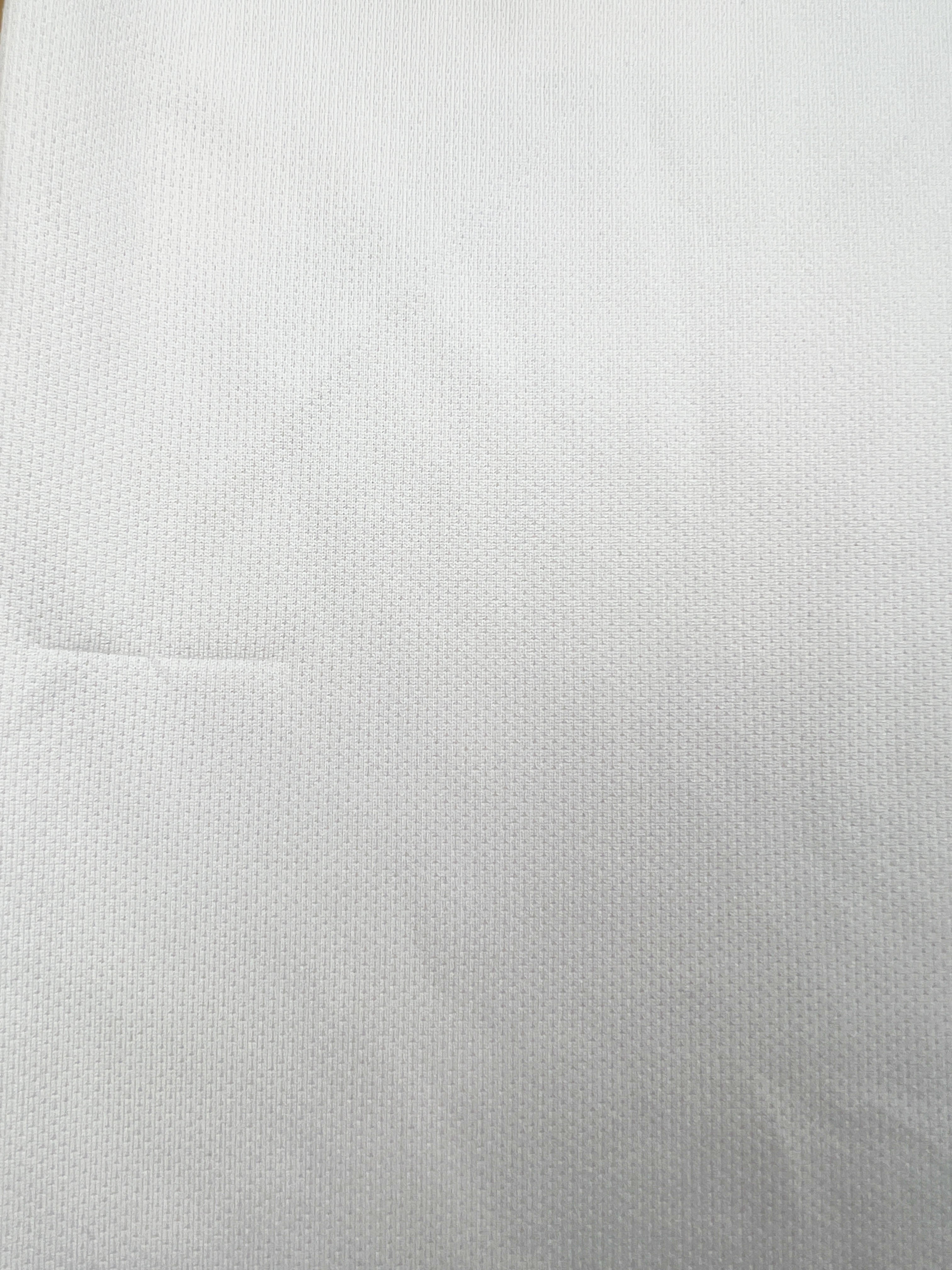 AS Monaco 2014-16 Drittes Trikot M nike